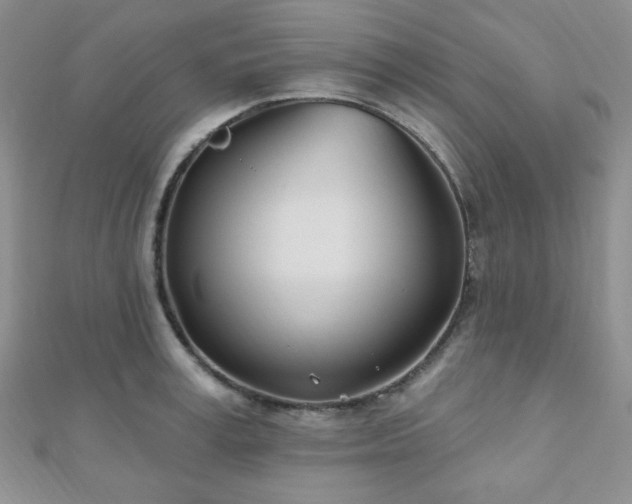 X0000110900995200906181319