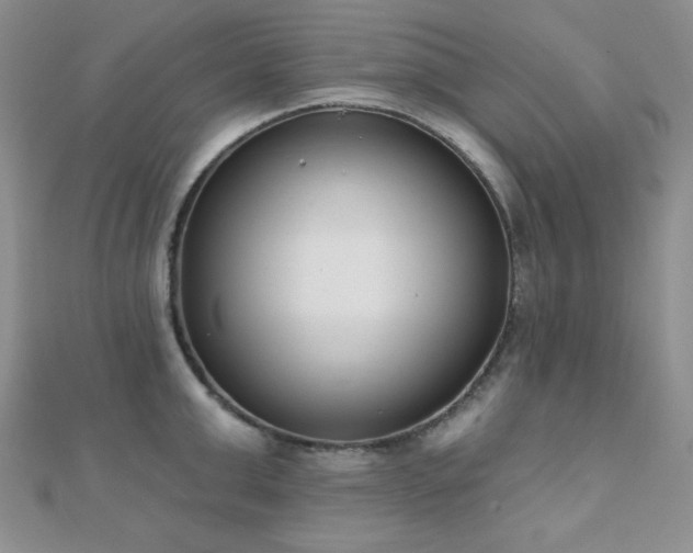X0000110900999200906181319