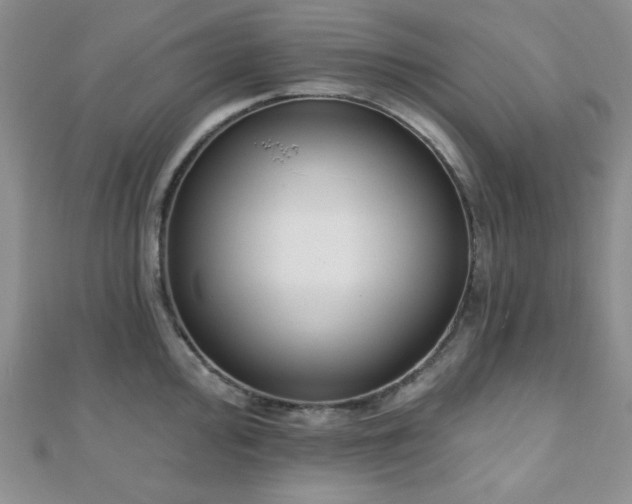 X0000110901000200906181319