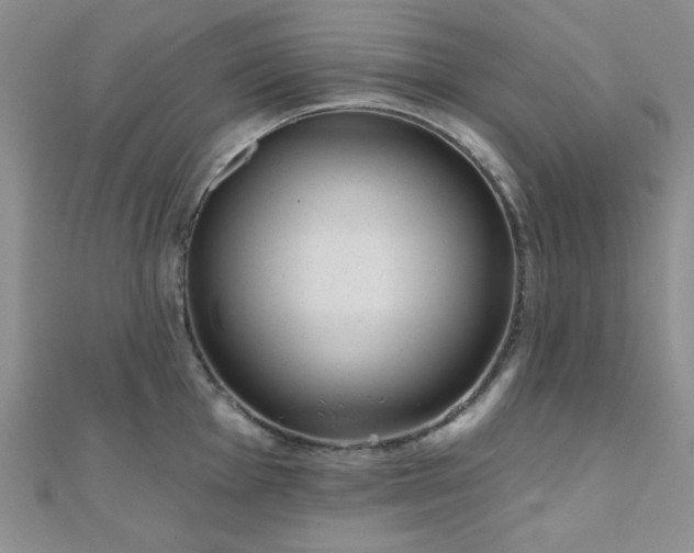 X0000110901001200906181319