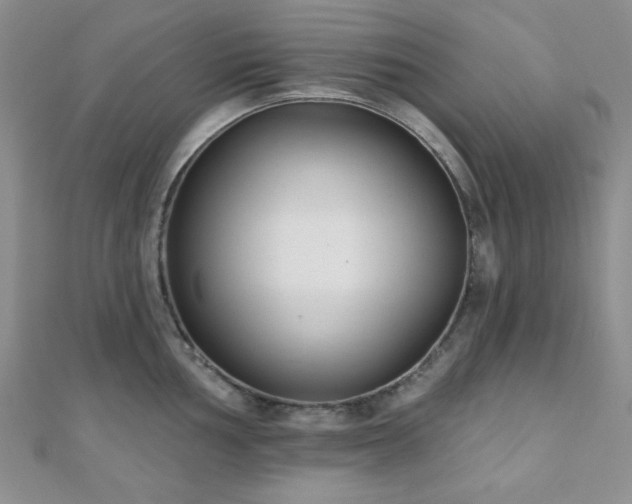 X0000110901002200906181319