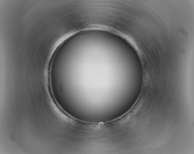 X0000110901003200906181319