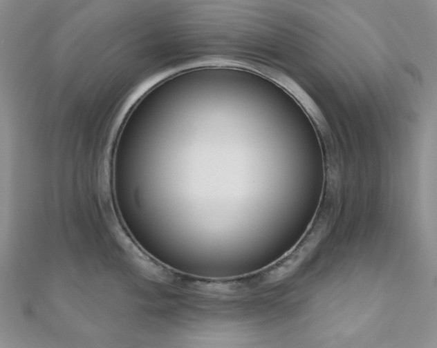 X0000110901004200906181319