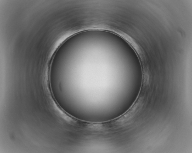 X0000110901006200906181319