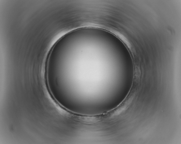 X0000110901007200906181319