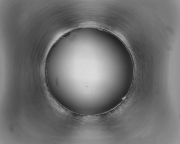 X0000110901008200906181319