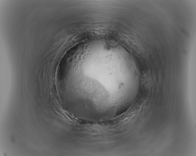 X0000110901009200906181318