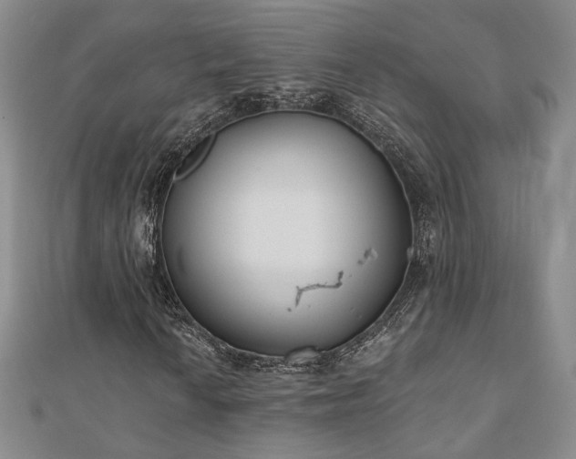 X0000110901010200906181318