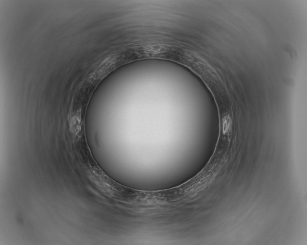 X0000110901011200906181318