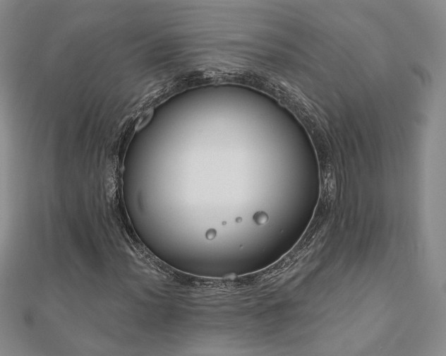X0000110901012200906181318