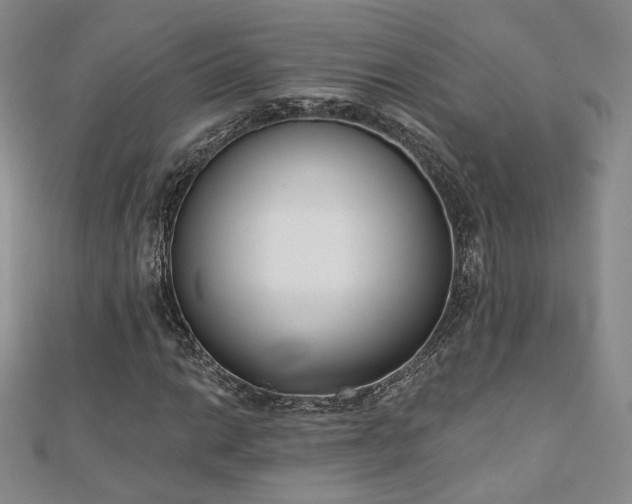 X0000110901014200906181318