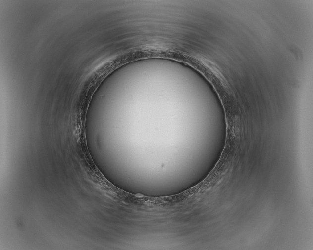X0000110901015200906181318