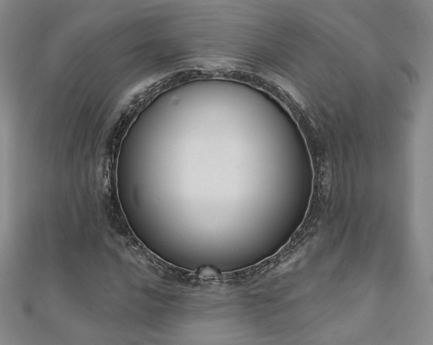 X0000110901016200906181318