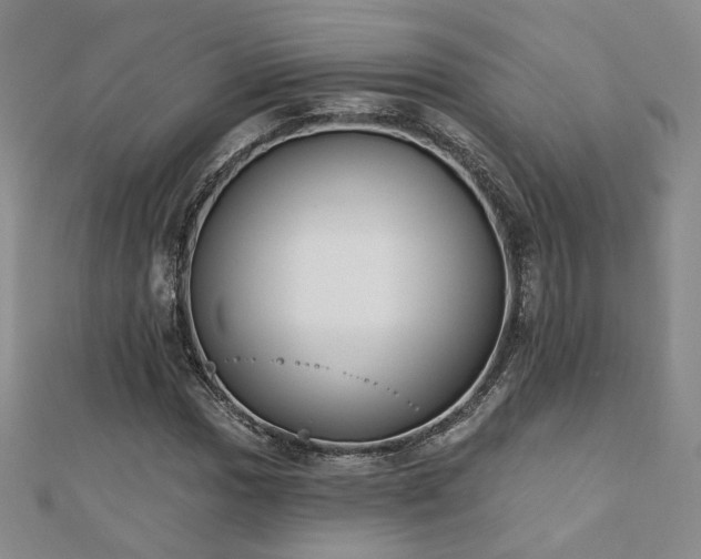 X0000110901017200906181318