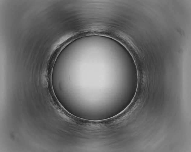 X0000110901018200906181318