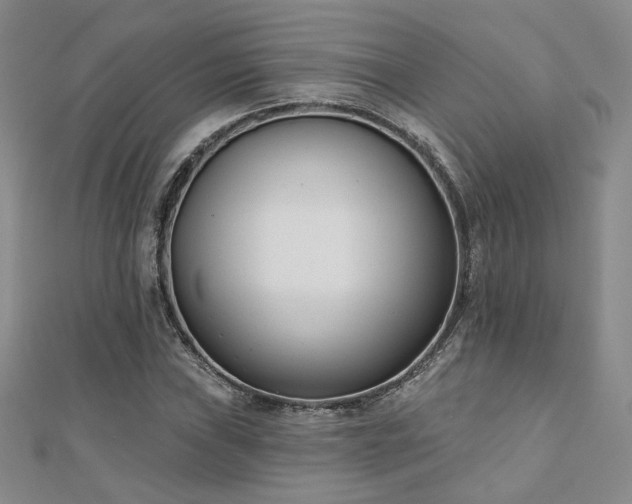 X0000110901019200906181318