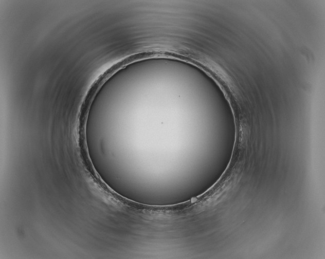 X0000110901020200906181318