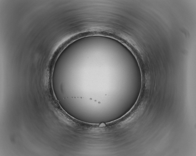 X0000110901021200906181318