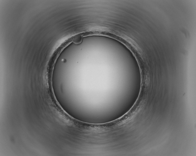 X0000110901022200906181318