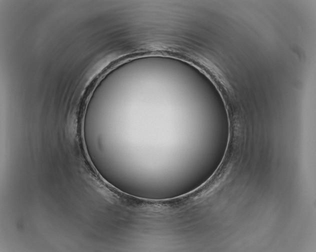 X0000110901023200906181318