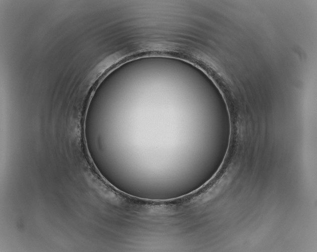 X0000110901025200906181318