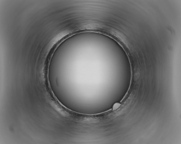 X0000110901026200906181318