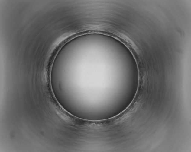 X0000110901027200906181318