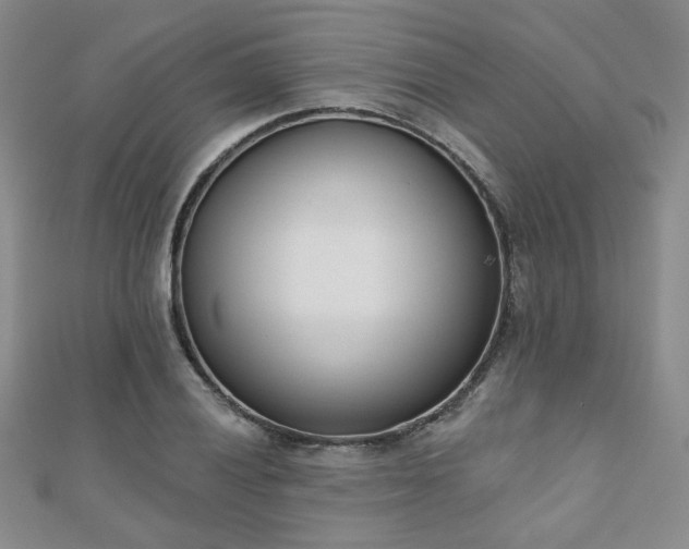 X0000110901028200906181318