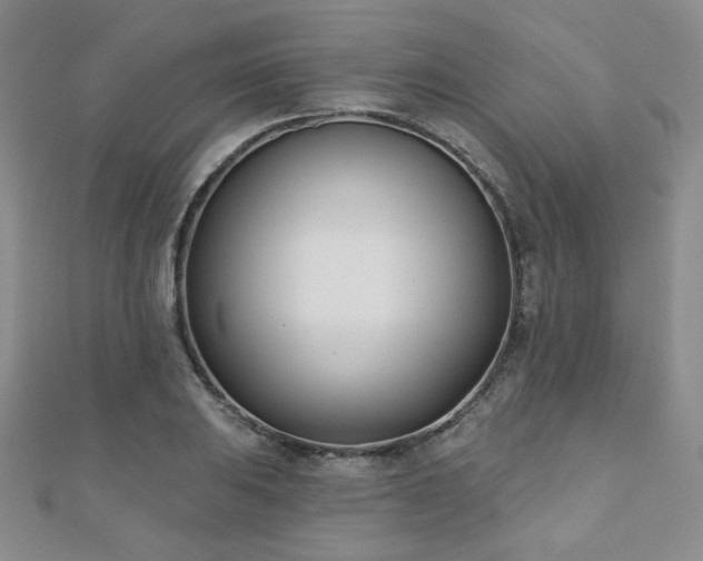 X0000110901031200906181318