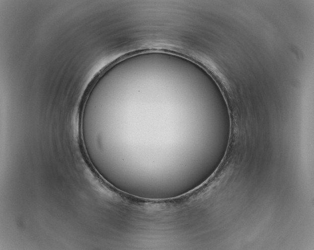 X0000110901032200906181318