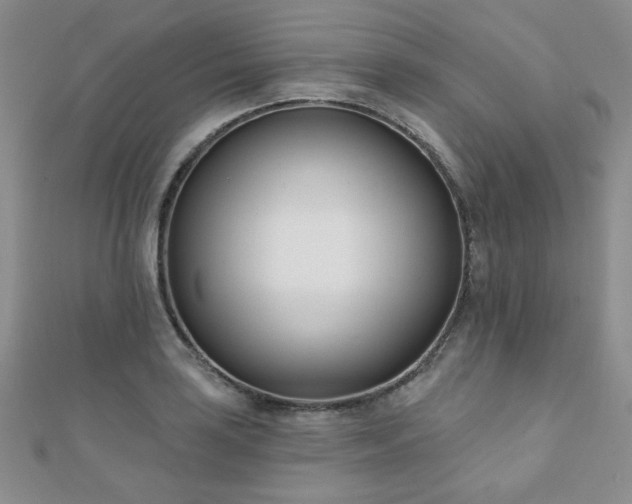 X0000110901035200906181318