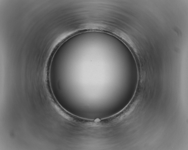 X0000110901037200906181318