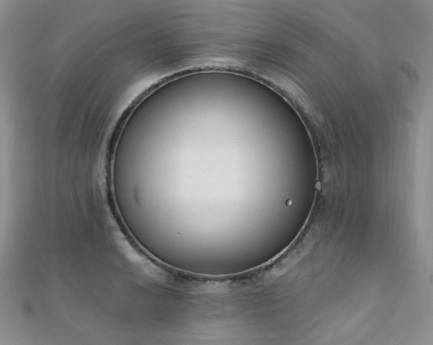 X0000110901038200906181318