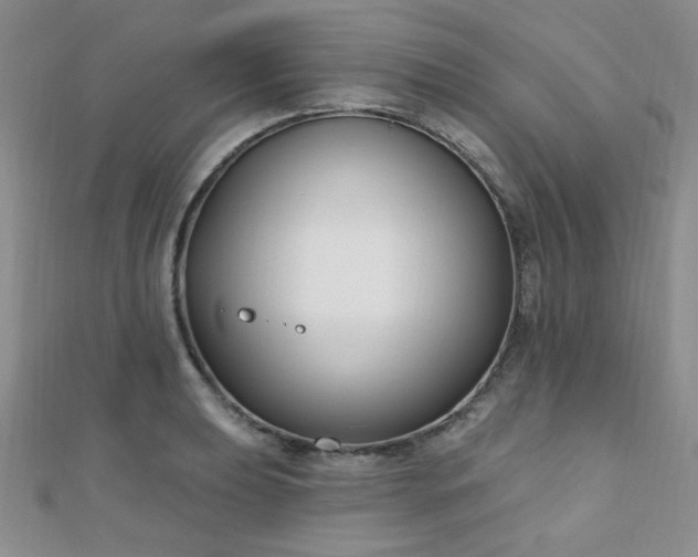 X0000110901039200906181318