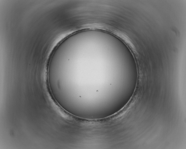 X0000110901040200906181318