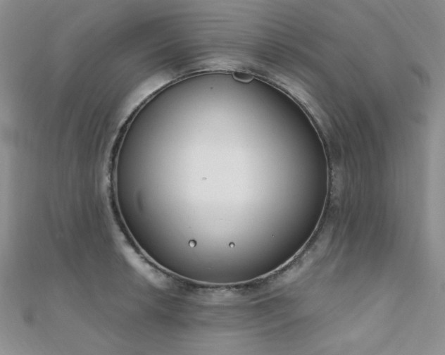 X0000110901042200906181318