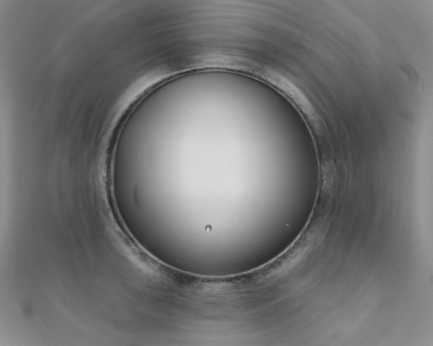 X0000110901043200906181319