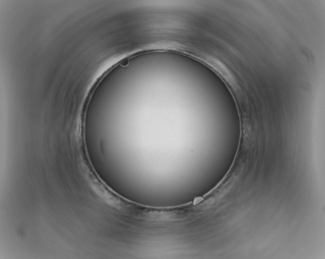 X0000110901044200906181319