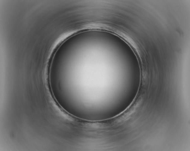 X0000110901045200906181319