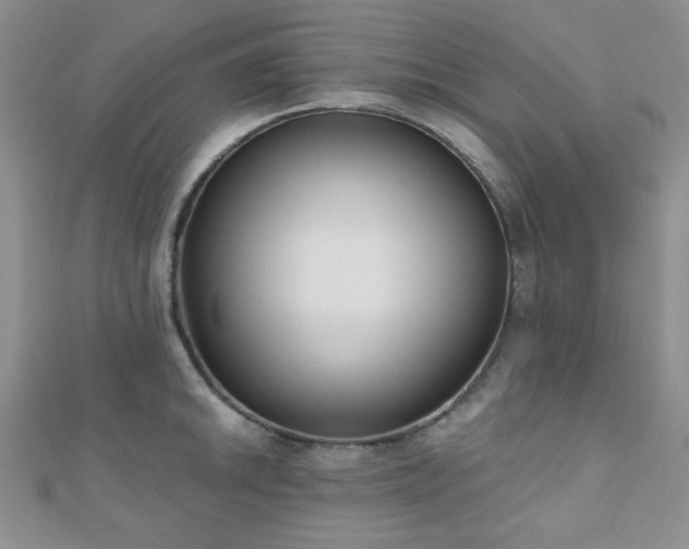 X0000110901046200906181319