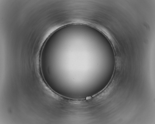 X0000110901048200906181319