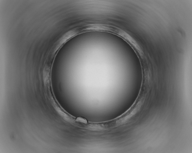 X0000110901049200906181319
