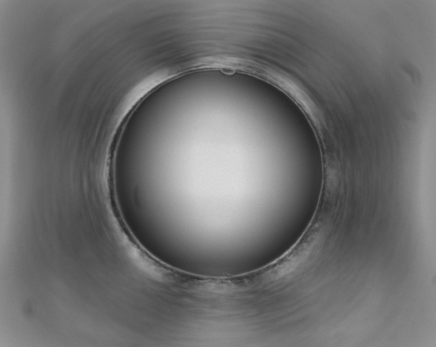 X0000110901050200906181319
