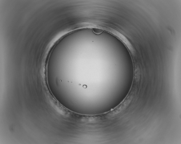 X0000110901051200906181319