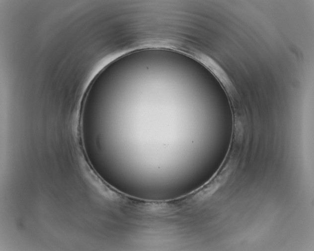 X0000110901052200906181319