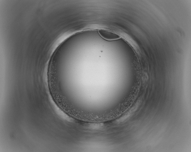 X0000110901055200906181319