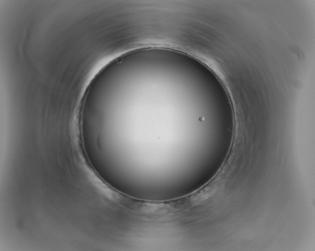 X0000110901056200906181319