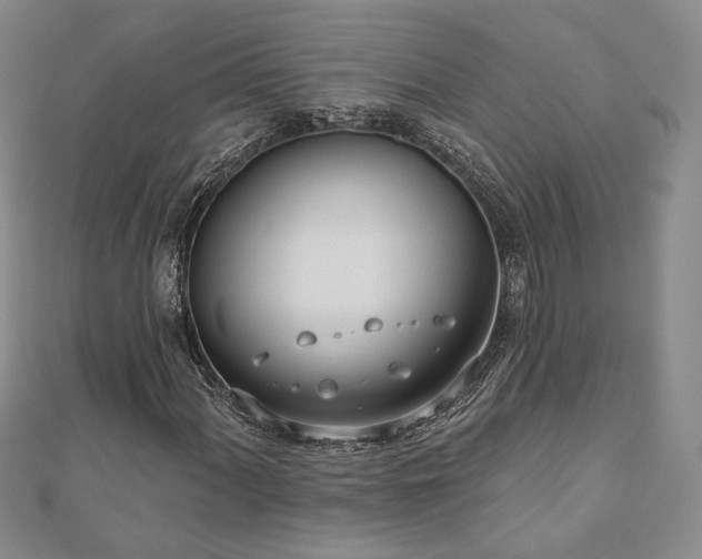 X0000110901060200906181318