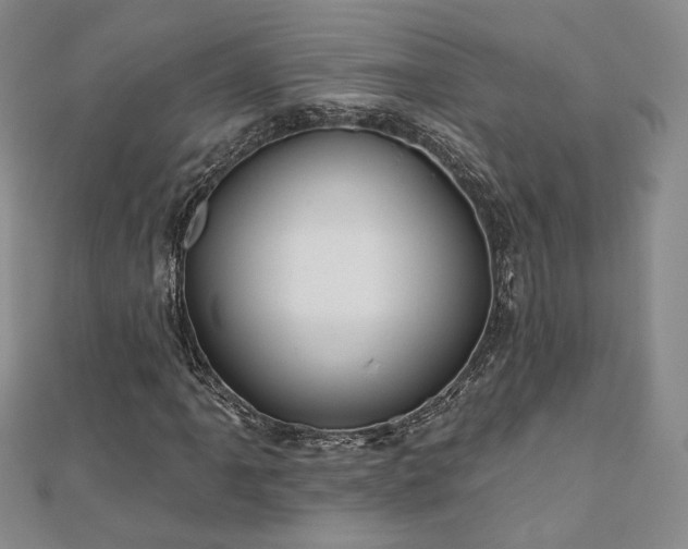 X0000110901061200906181318