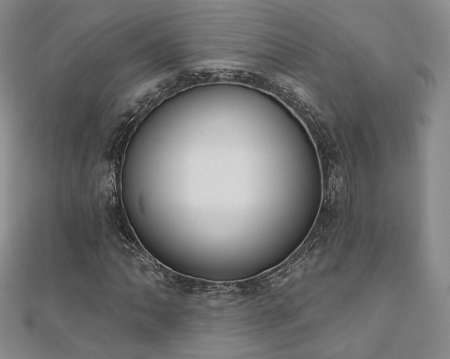 X0000110901062200906181318